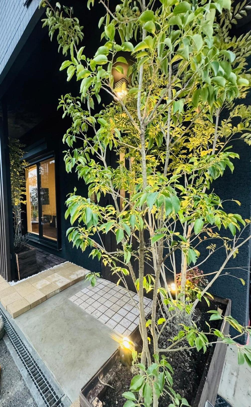 大阪市 天下茶屋ハウスヴィラ エクステリア 写真